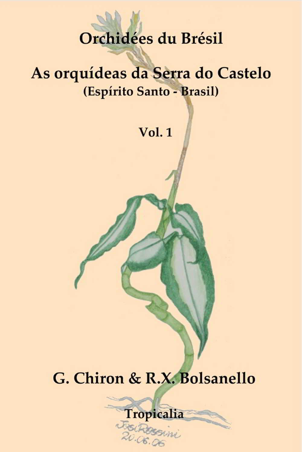 Orchidées du Brésil – Orquídeas da Serra do Castelo, volume 1