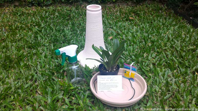 orquideas.eco.br-EcoTronco