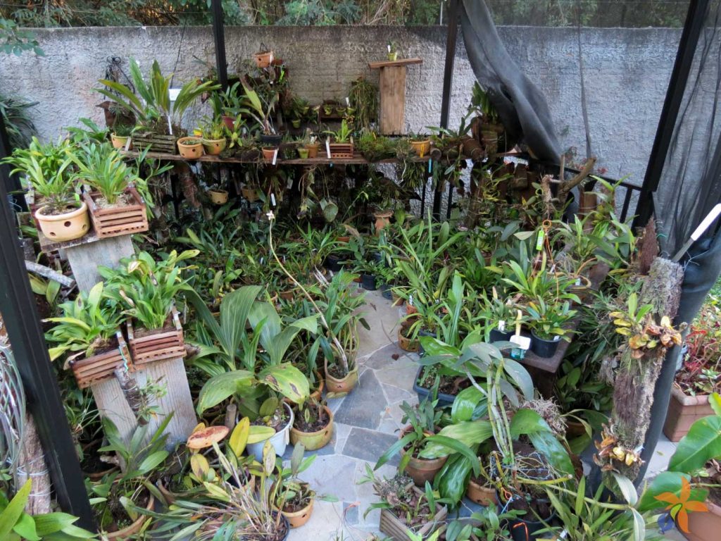 orquideas.eco.br - Onde ficavam durante as reformas